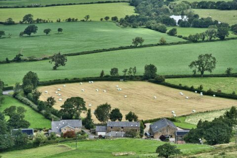 Guide On How Regenerative Agriculture School Course Is Revolutionising Sustainable Farming