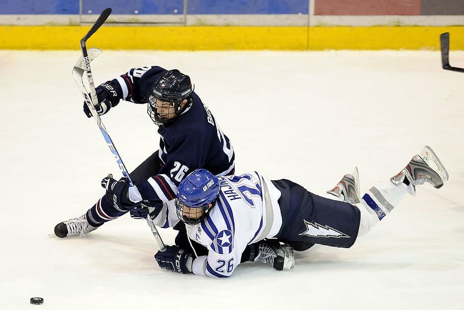 Professional Ice Hockey