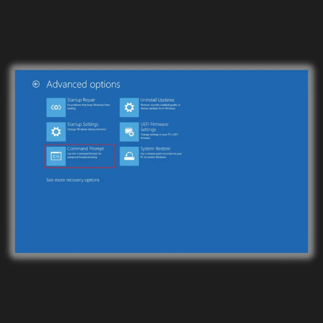 advanced options - command prompt